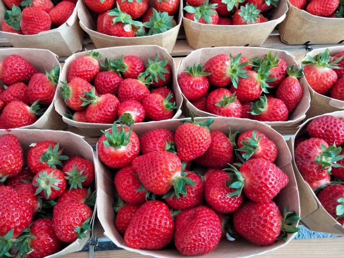 fraises